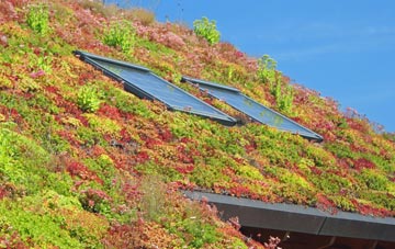 Monksthorpe living roof systems