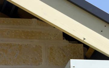 soffit repair Monksthorpe
